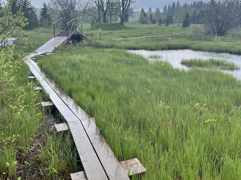 23-05-23 13-01-34 5592